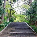 06青葉神社階梯頂端.jpg