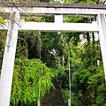 05青葉神社前鳥居.jpg