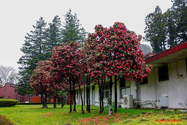 32宮城峽蒸餾所內景觀-1.jpg