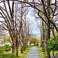 19盛岡城跡公園二之丸區.jpg