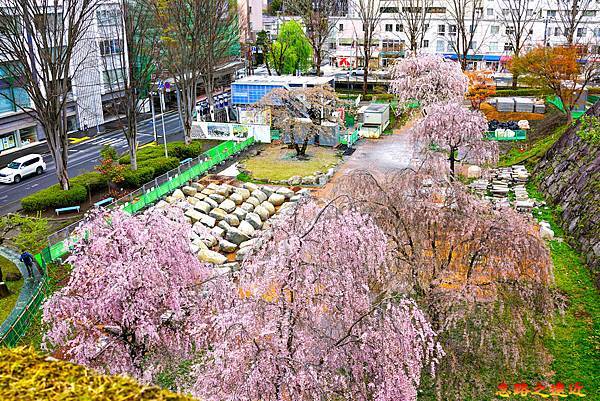 24盛岡城跡公園三之丸眺望武德殿跡.jpg