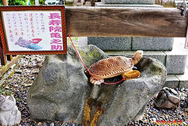 10櫻山神社長壽院龜之助.jpg