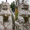 20盛岡八幡宮阿參道前階梯旁狛犬.jpg