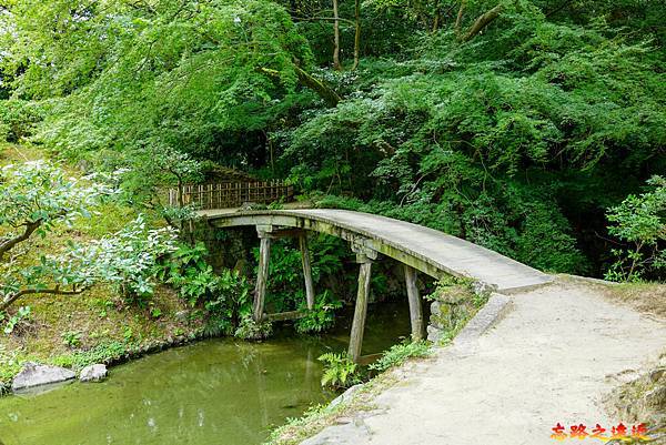 29栗林公園往楓岸木橋.jpg