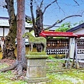 26 八阪神社石馬與繪馬牆.jpg