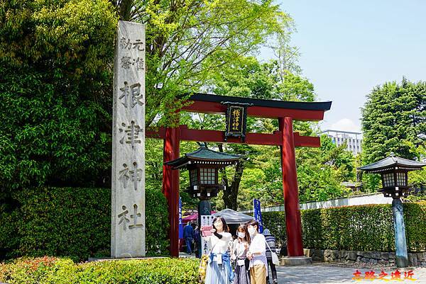 01 根津神社鳥居.jpg