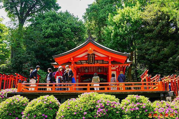 19 根津神社乙女稻荷神社.jpg