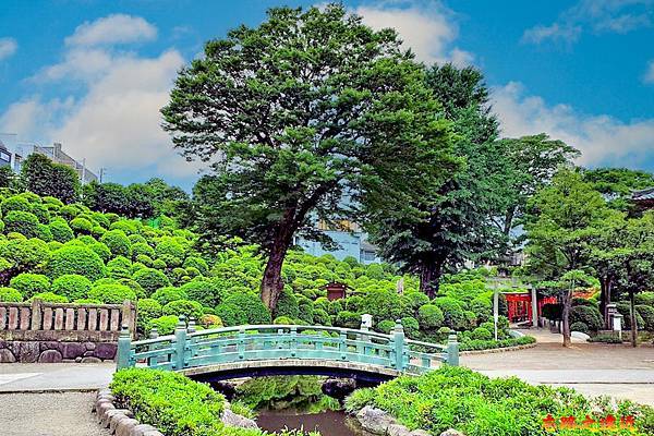 27 根津神社神橋.jpg