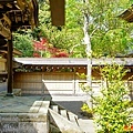 31 大洗磯前神社本殿內一角.jpg
