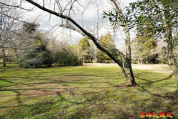 13  佐倉城二之丸.jpg