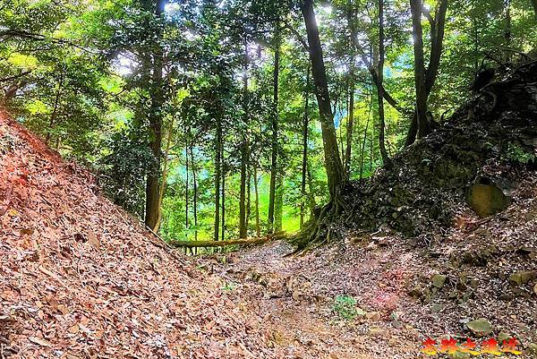 18 八王子城駒冷場跡.jpg