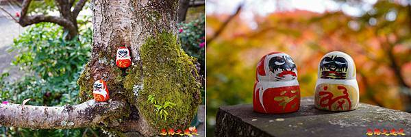 22 勝尾寺林間小達摩.jpg