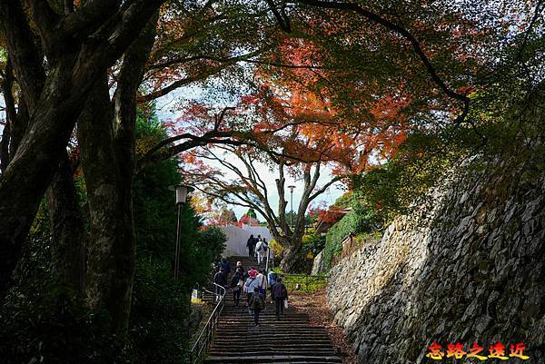 25 勝尾寺上山石階.jpg