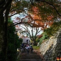 25 勝尾寺上山石階.jpg