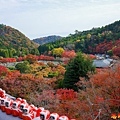 37 勝尾寺本堂前眺望楓紅.jpg