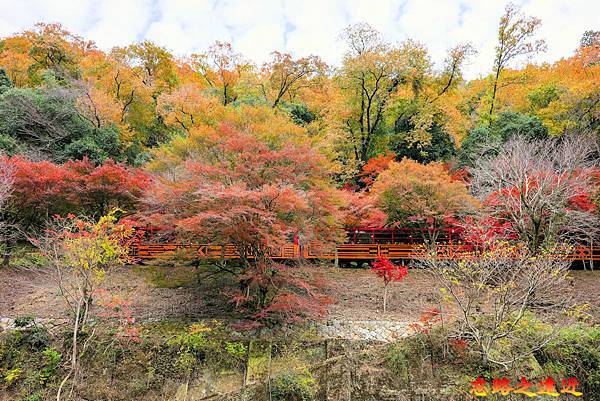 17 沿保津川而行的嵐山小火車.jpg