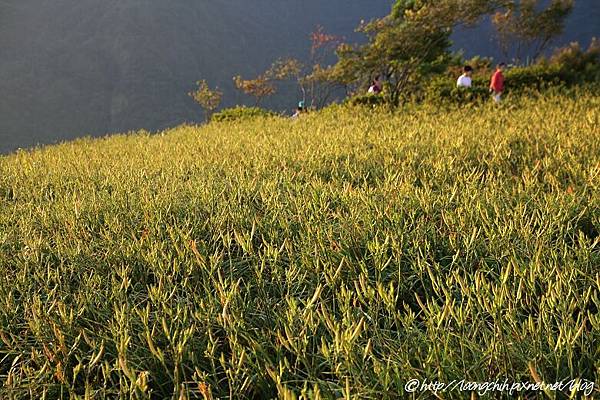 hualien_trip_107.jpg