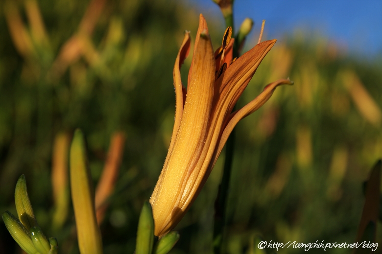 hualien_trip_110.jpg