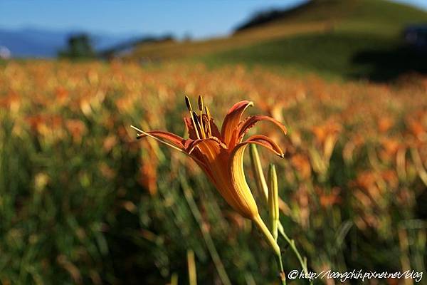 hualien_trip_121.jpg