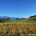 hualien_trip_123.jpg