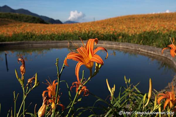 hualien_trip_169.jpg