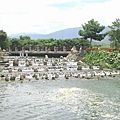 關山親水公園a