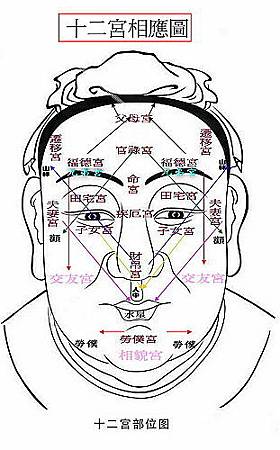 【面相】人相十二宫