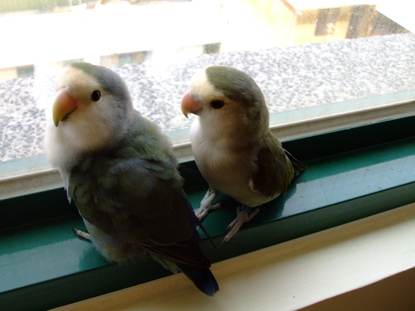DSCF3176.JPG
