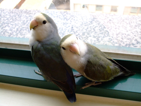 DSCF3178.JPG