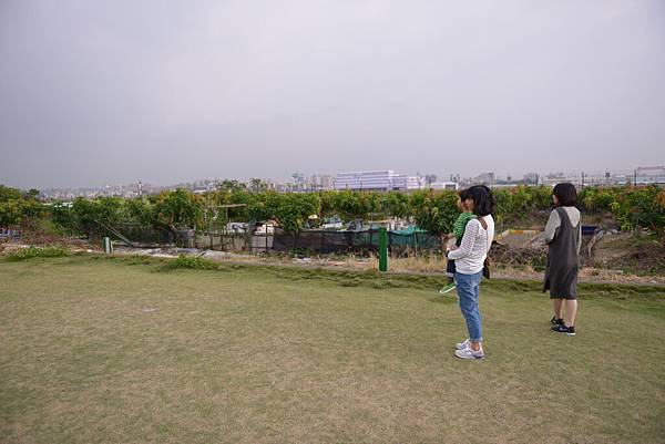 DSC_5538.JPG DSC_5538.JPG