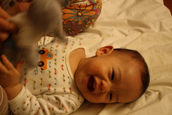 090110 800_大小 .jpg