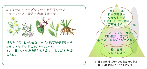 AYURA 凝神香芬 前香調