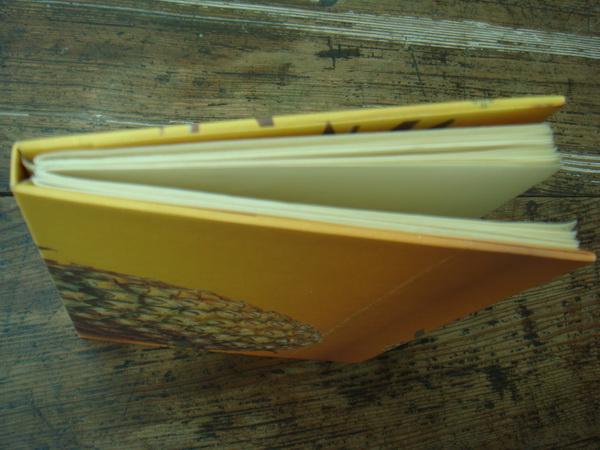 sDSC04896 sDSC04896