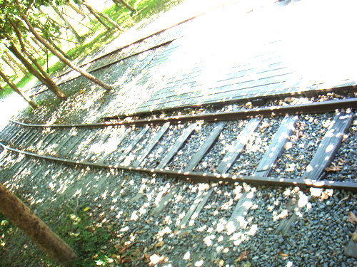 sDSC01825-2.jpg sDSC01825-2.jpg