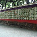 DSC00544.JPG