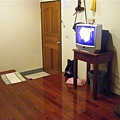 DSCF7189.JPG