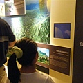 DSCF7287.JPG