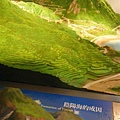 DSCF7300.JPG