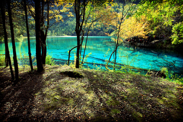 jiuzhaigou4.JPG