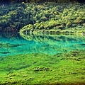 jiuzhaigou5.JPG