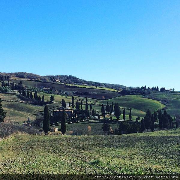 IMG_7945.JPG IMG_7945.JPG