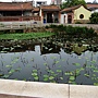 DSC05335 DSC05335