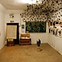 DSC05558 DSC05558