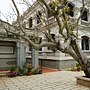 DSC05589 DSC05589