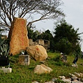 DSC05819 DSC05819