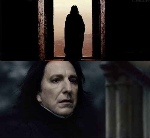 snape2 snape2