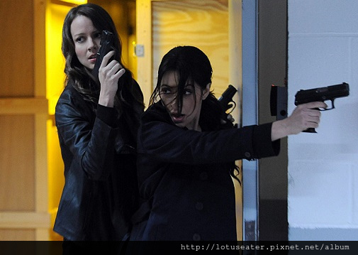 poi411 poi411