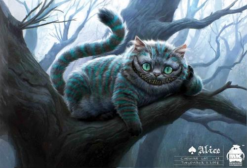 cat cat