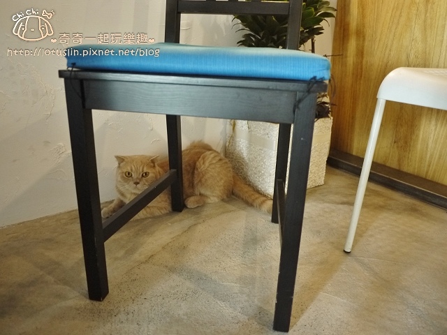P1660048.jpg