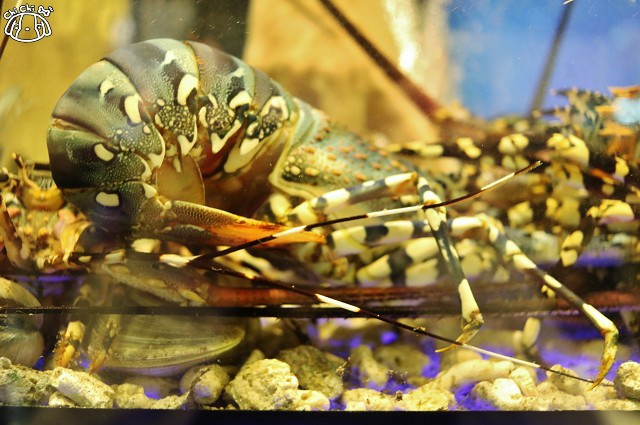 IMG_6724.jpg IMG_6724.jpg